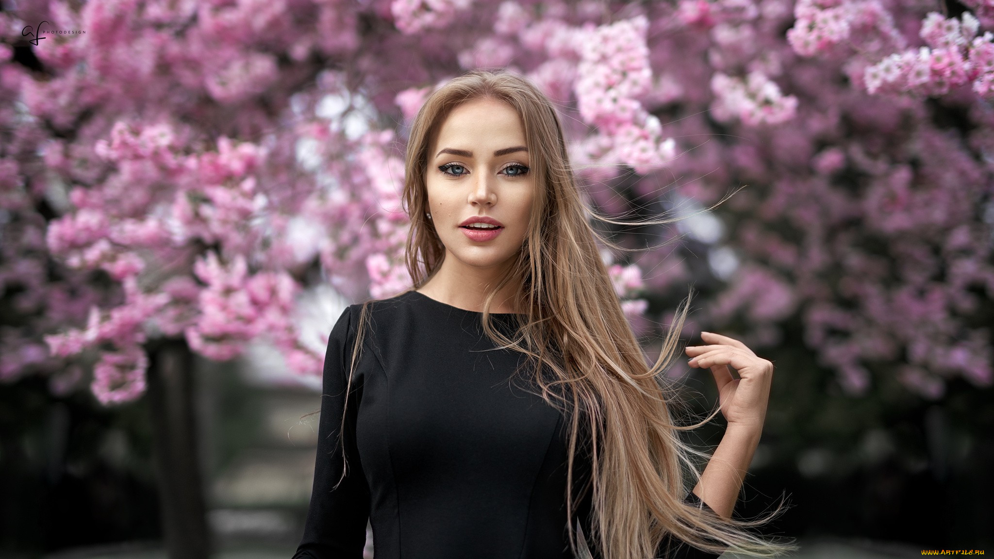 maria puchnina, , , , maria, puchnina